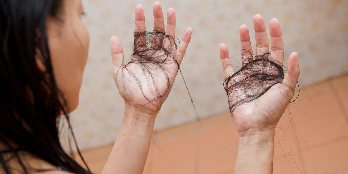 What Causes Hair Loss? Tips to Restore Your Hair Length.